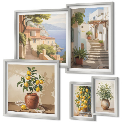 Set di 5 quadri Eleganti piante da interno per esterni
