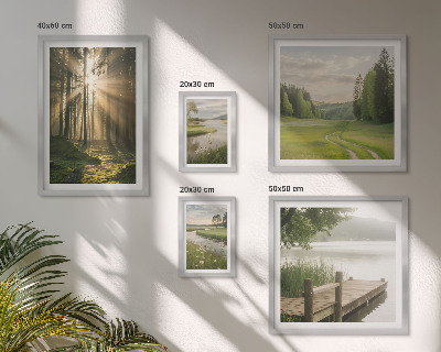 Set di 5 quadri Paesaggi forestali sole acqua