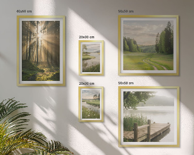 Set di 5 quadri Paesaggi forestali sole acqua