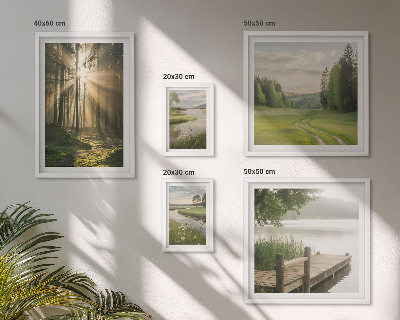 Set di 5 quadri Paesaggi forestali sole acqua
