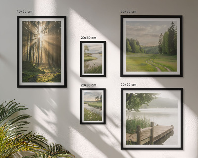 Set di 5 quadri Paesaggi forestali sole acqua