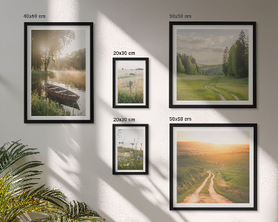 Set di 5 quadri Paesaggi di acqua e vegetazione