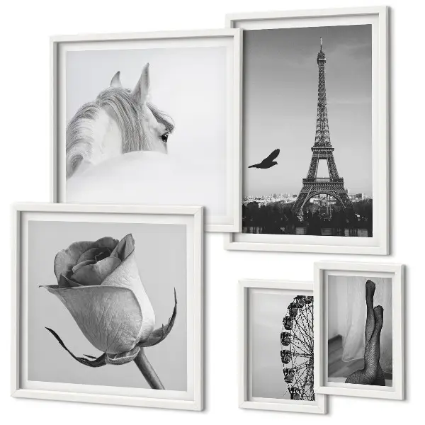 Set di 5 quadri con eleganti immagini in bianco e nero