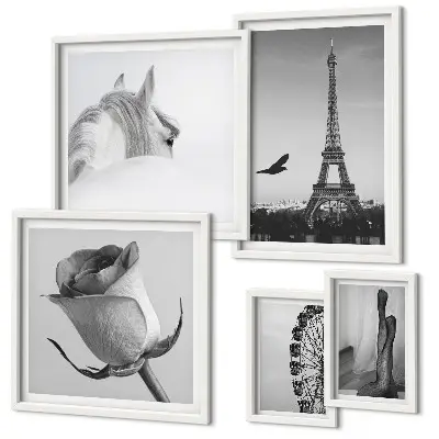 Set di 5 quadri con eleganti immagini in bianco e nero