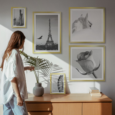 Set di 5 quadri Eleganti immagini in bianco e nero
