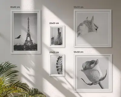 Set di 5 quadri con eleganti immagini in bianco e nero