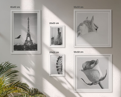 Set di 5 quadri Eleganti immagini in bianco e nero