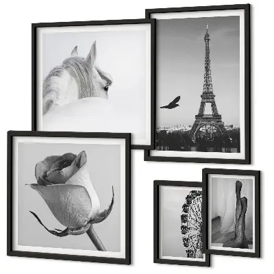Set di 5 quadri con eleganti immagini in bianco e nero