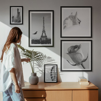Set di 5 quadri Eleganti immagini in bianco e nero
