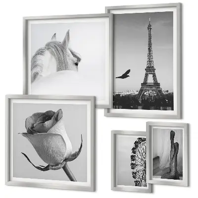Set di 5 quadri con eleganti immagini in bianco e nero
