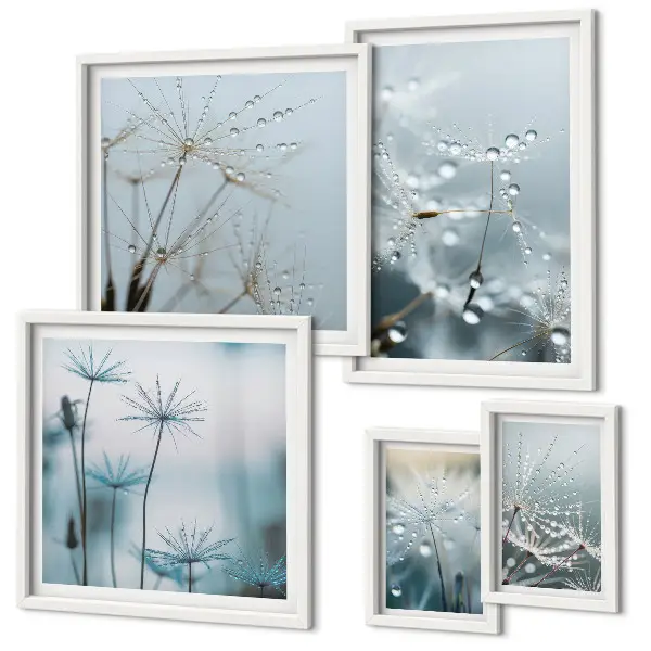 Set di 5 quadri con motivi vegetali e gocce d'acqua