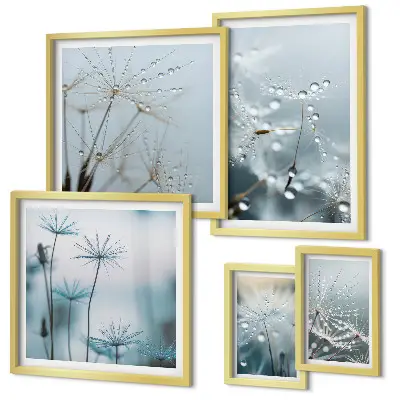 Set di 5 quadri con motivi vegetali e gocce d'acqua