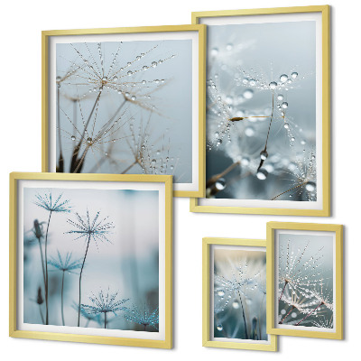 Set di 5 quadri Motivi vegetali, gocce d'acqua