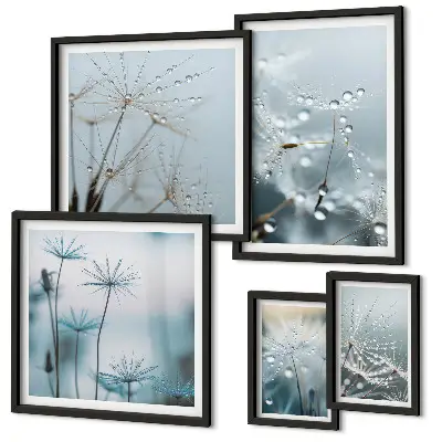 Set di 5 quadri con motivi vegetali e gocce d'acqua