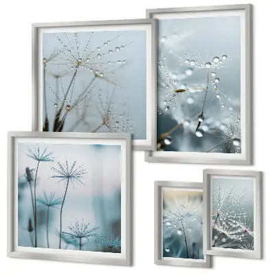 Set di 5 quadri con motivi vegetali e gocce d'acqua