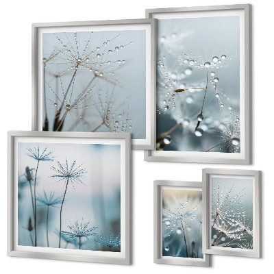 Set di 5 quadri Motivi vegetali, gocce d'acqua