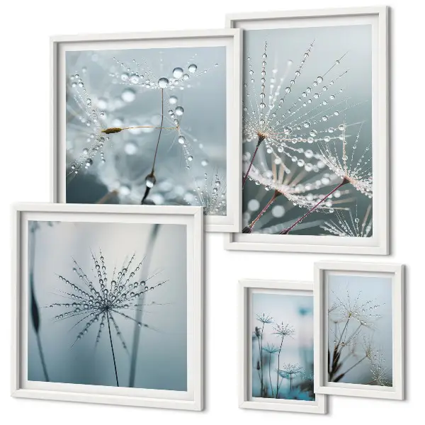 Set di quadri incorniciati con gocce d'acqua sulle piante
