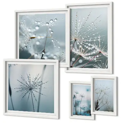 Set di quadri incorniciati con gocce d'acqua sulle piante