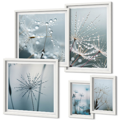 Set di quadri incorniciati Gocce d'acqua sulle piante