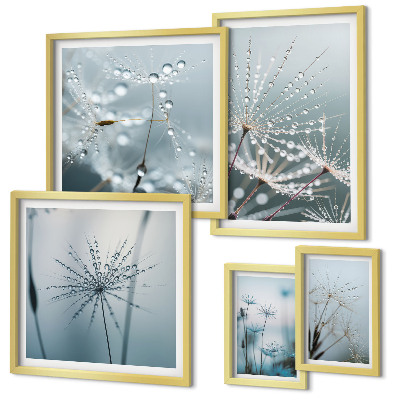 Set di quadri incorniciati Gocce d'acqua sulle piante