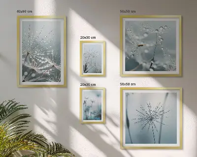 Set di quadri incorniciati con gocce d'acqua sulle piante