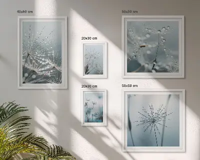 Set di quadri incorniciati con gocce d'acqua sulle piante