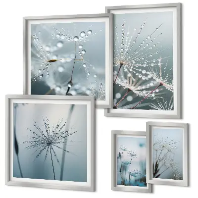 Set di quadri incorniciati con gocce d'acqua sulle piante