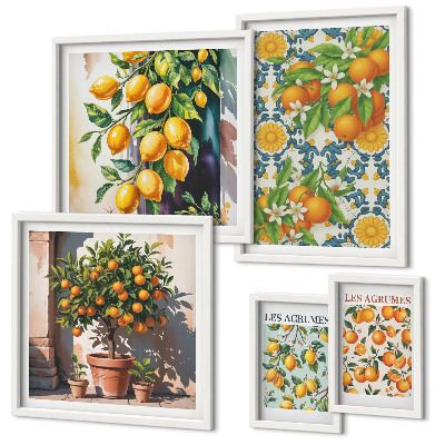 Set di 5 quadri Agrumi fiori vintage