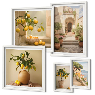 Set di 5 quadri Eleganti decorazioni agrumate