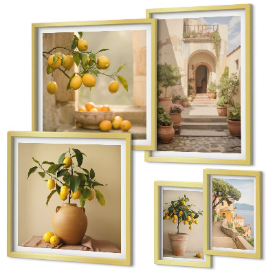 Set di 5 quadri Eleganti decorazioni agrumate