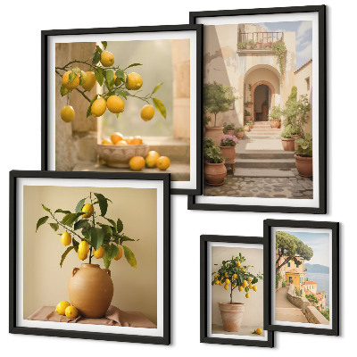 Set di 5 quadri Eleganti decorazioni agrumate