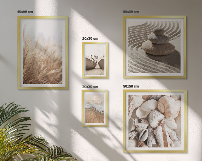 Set di quadri incorniciati conchiglie e sabbia di mare