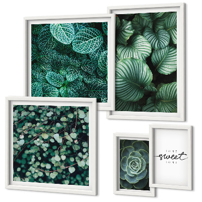 Set di quadri incorniciati Piante moderne con foglie verdi