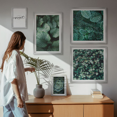 Set di quadri incorniciati Piante moderne con foglie verdi