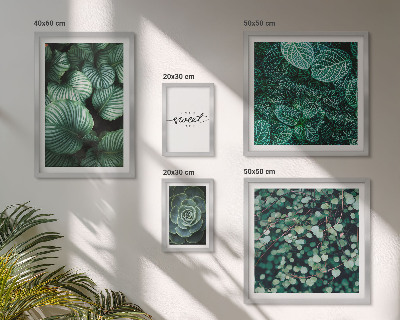Set di quadri incorniciati Piante moderne con foglie verdi