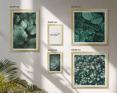 Set di quadri incorniciati con piante moderne dalle foglie verdi