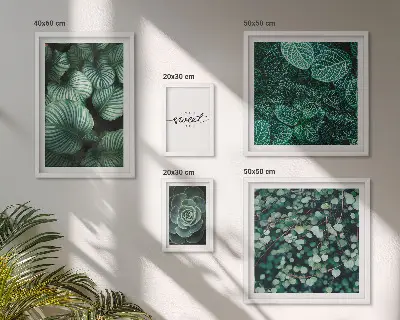 Set di quadri incorniciati con piante moderne dalle foglie verdi