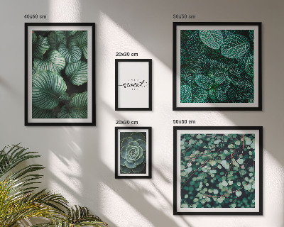 Set di quadri incorniciati Piante moderne con foglie verdi