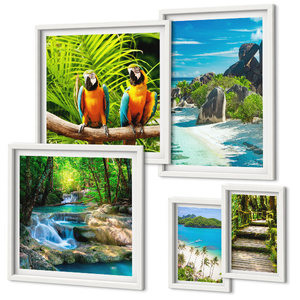 Set di 5 quadri Paesaggi tropicali, uccelli, cascate