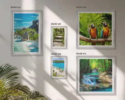 Set di 5 quadri con paesaggi tropicali, uccelli e cascate