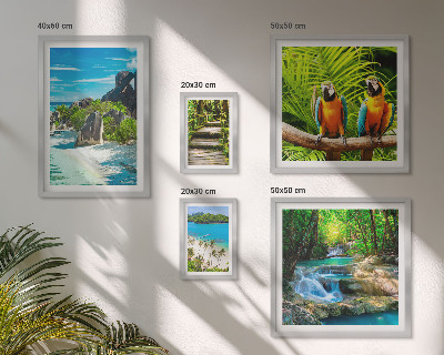 Set di 5 quadri Paesaggi tropicali, uccelli, cascate