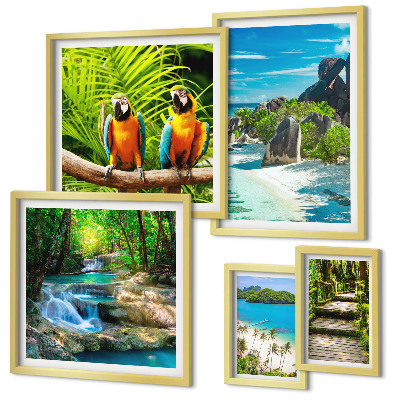 Set di 5 quadri Paesaggi tropicali, uccelli, cascate