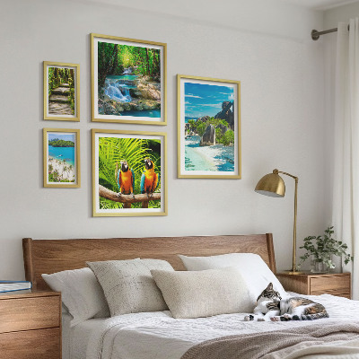 Set di 5 quadri Paesaggi tropicali, uccelli, cascate