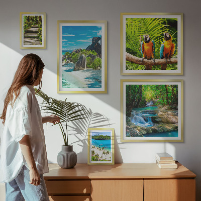 Set di 5 quadri Paesaggi tropicali, uccelli, cascate
