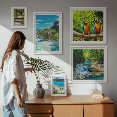 Set di 5 quadri Paesaggi tropicali, uccelli, cascate