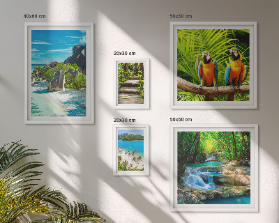 Set di 5 quadri Paesaggi tropicali, uccelli, cascate