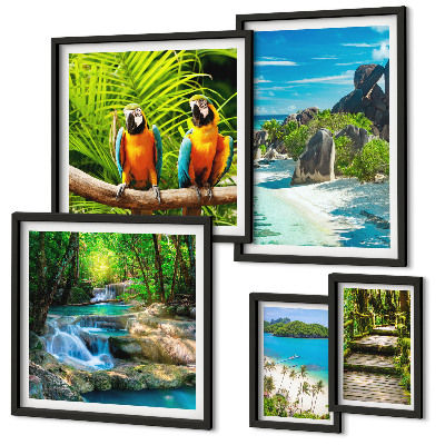 Set di 5 quadri Paesaggi tropicali, uccelli, cascate