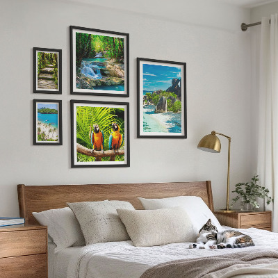 Set di 5 quadri Paesaggi tropicali, uccelli, cascate