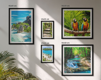 Set di 5 quadri Paesaggi tropicali, uccelli, cascate