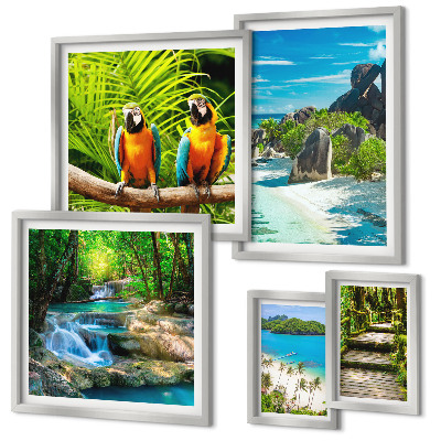 Set di 5 quadri Paesaggi tropicali, uccelli, cascate